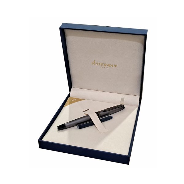 Waterman Expert Metallic Silver with Ruthenium Trim Fountain Pen