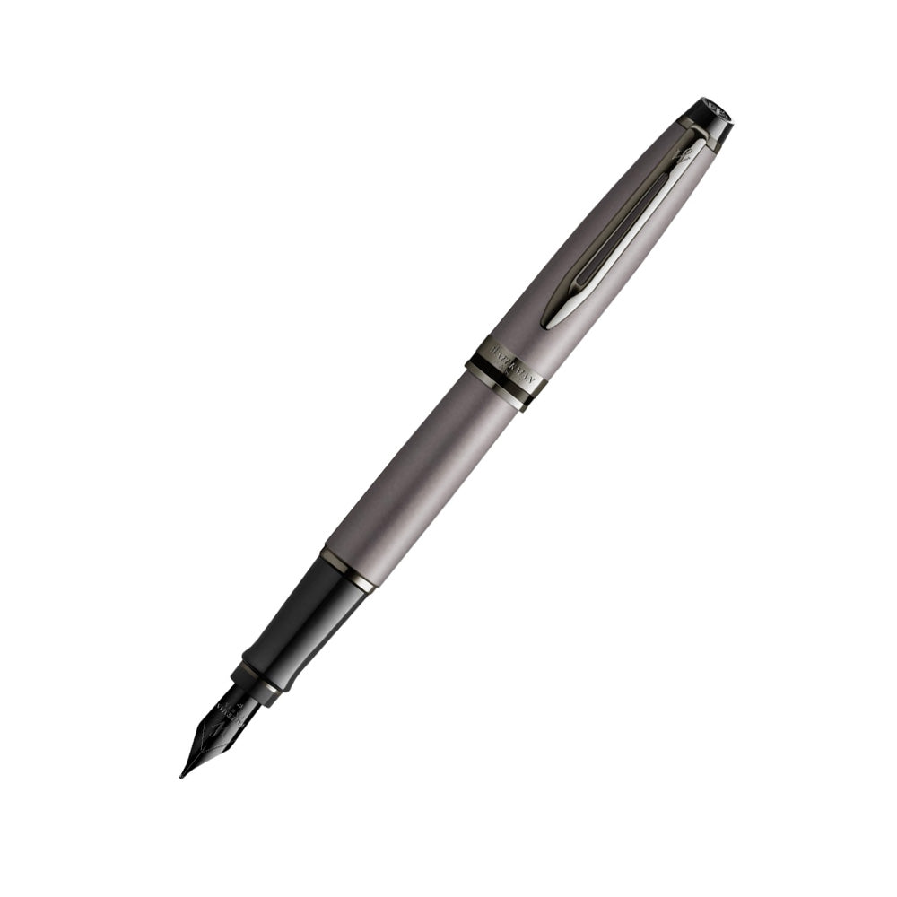 Waterman Expert Metallic Silver with Ruthenium Trim Fountain Pen