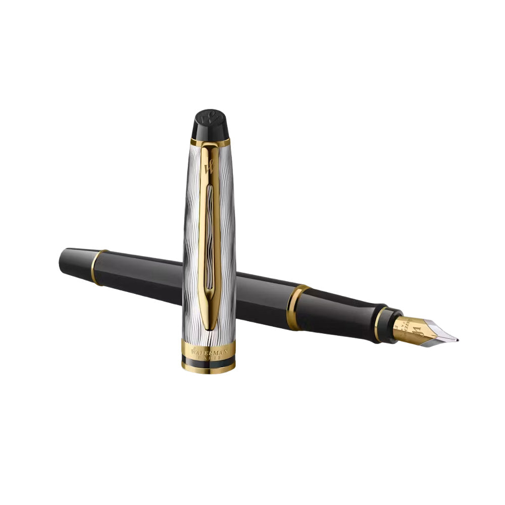Waterman Expert Fountain Pen Reflections of Paris