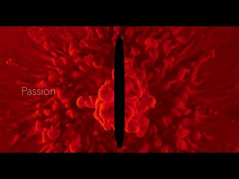 Pilot Capless Decimo Fountain Pen – 18Kt Gold Nib